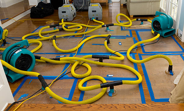 Professional Basement Flood Cleanup technician working in Santa Ynez, CA